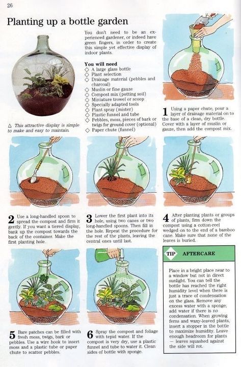 Glass Terrarium Ideas, Self Sustaining Terrarium, Indoor Planting, Bottle Terrarium, Plants In Bottles, Terrarium Ideas, نباتات منزلية, Bottle Garden, Life Quality