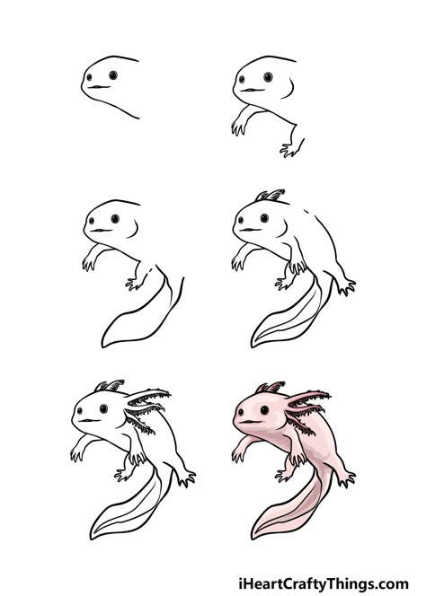 Axolotl Drawing - How To Draw An Axolotl Step By Step Draw Axolotl, Draw An Axolotl, Axolotl Drawing, Animals In Nature, Sea Drawing, Easy Animal Drawings, Drawn Fish, Drawing Step By Step, Drawing Step