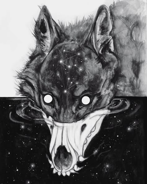 There’s something quite enchanting and paradoxical about the darkness revealing.  I’ve wanted to test out this idea of splitting the… Demon Dog, Dark Art Drawings, Scary Art, A Wolf, Creepy Art, Wolf Art, Arte Animal, Art And Illustration, Horror Art