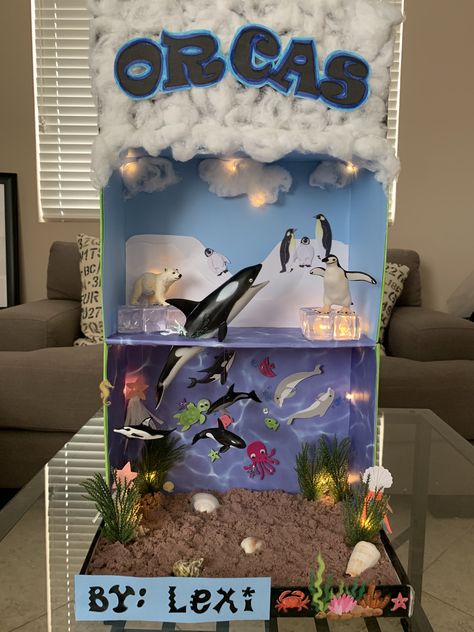 Shoe Box Ocean Ecosystem, Marine Diorama Project, Under The Sea Habitat Project, Ocean Model Project, Orca Diorama School Projects, Dolphin Diorama Projects For Kids, Ocean Diaroma School Projects, Shark Diorama School Projects, Artic Biome Project