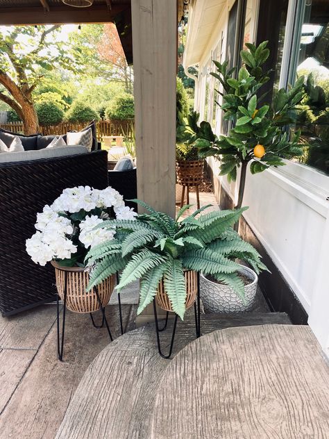 Patio With Artificial Plants, Backyard Patio Plants, Outdoor Fake Plants Patio, Faux Patio Plants, Faux Plants Outdoors, Outdoor Faux Plants Patio, Fake Plants Outside Landscaping, Fake Outdoor Plants Landscaping, Fake Plants Outside Front Porches