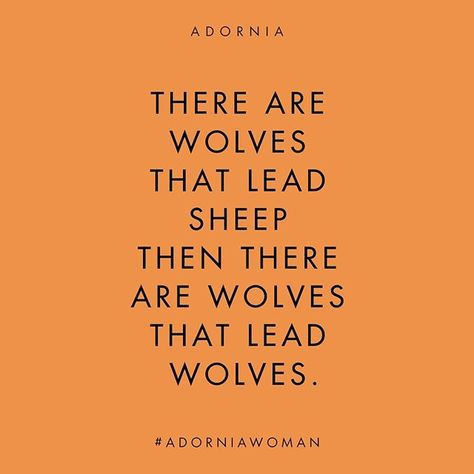 ADORNIA (@adornia) • Instagram photos and videos Alfa Female Quotes, March Energy, Alfa Female, Boss Mentality, Wolf Pack Quotes, Alpha Female Quotes, Womb Wisdom, Female Photos, Alpha Females