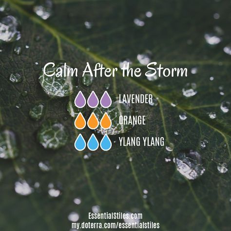 Calm after the storm blend Essential Oil Combinations, Essential Oil Diffuser Blends Recipes, Young Living Essential Oils Recipes, Diy Kosmetik, Essential Oil Diffuser Recipes, Yl Essential Oils, Oil Diffuser Recipes, Essential Oil Mixes, Essential Oil Blends Recipes