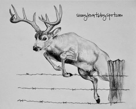 Buck Drawing, Wildlife Sketches, Hunting Drawings, Deer Sketch, Hunting Tattoos, Deer Artwork, Deer Drawing, Deer Illustration, Hunting Art