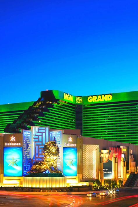 Mgm Grand Las Vegas Restaurants, Las Vegas Mgm Grand, Arena Background, Project Graduation, Mgm Las Vegas, Vegas Pools, Mgm Grand Las Vegas, Las Vegas Hotel, Trip To Grand Canyon