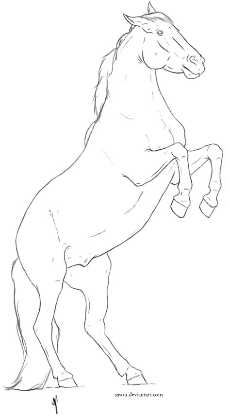 Horse Back View Drawing, Horse Base, Full Body Horse Drawing, Horse Standing Drawing, Horse Line Drawing Simple, Horse Lineart, Horse Frontal View Drawing, Horse Rearing Drawing, Horse Template