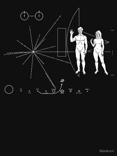 Nasa Graphic Design, Voyager Tattoo, Pioneer Plaque, Appropriation Art, Pisces Tattoos, Leo Tattoos, Moon Missions, Math Formulas, Indie Art