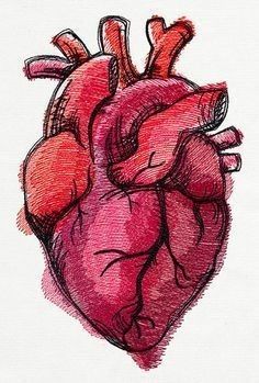 Meaningful Drawings, Heart Illustration, Heart Drawing, Easy Doodle Art, Human Heart, Dessin Adorable, Hand Art Drawing, Art Inspiration Painting, Hand Art