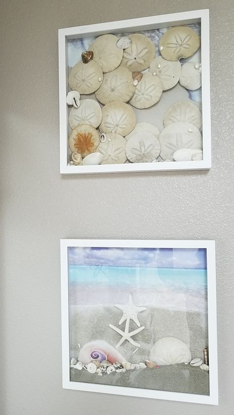 Sand Dollar Decorating Ideas, Things To Make With Sand Dollars, Sand Dollars Ideas, Shell Keepsake Ideas, Sand Decorations Ideas, Sand Dollars Crafts, Sand Dollar Display Ideas, Art With Sand Dollars, What To Do With Sand Dollars