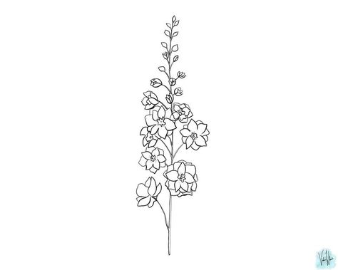 Delphinium Tattoo Simple, Delphinium Tattoo Design, Delfinium Flower Tattoo, Larkspur Drawing Simple, Delphinium Flower Drawing, Larkspur Flower Tattoo Fine Line, Wybie Tattoo, Larkspur Drawing, Larkspur Black And White Tattoo