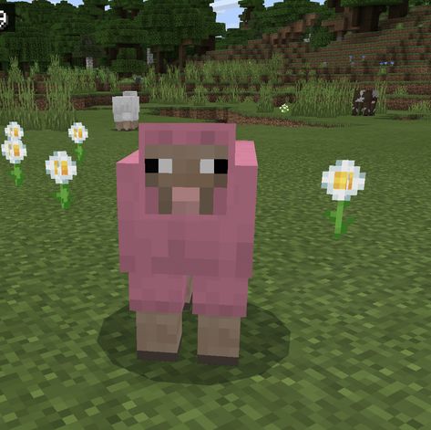 Pink Sheep Minecraft, Minecraft Pfp Aesthetic, Minecraft Pfp, Minecraft Sheep, Scene Pfp, Minecraft Pig, Sheep Face, Pink Sheep, Sheep Art