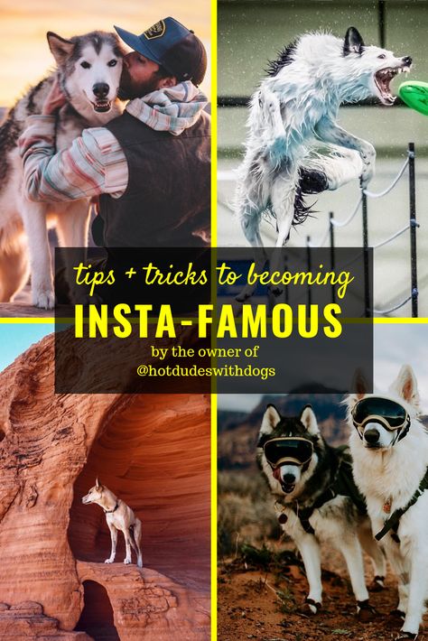 Tricks and Tips on making your dog the next Instagram star. Everything from Instagram strategy, Instagram content, Instagram hashtags and so much more from the creator or @hotdudeswithdogs. Dog Instagram Content Ideas, Dog Instagram Username Ideas, Dog Content Ideas, Dog Hashtags, Dog Boutique Ideas, Instagram Account Ideas, Account Ideas, Dog Marketing, Pet Care Business