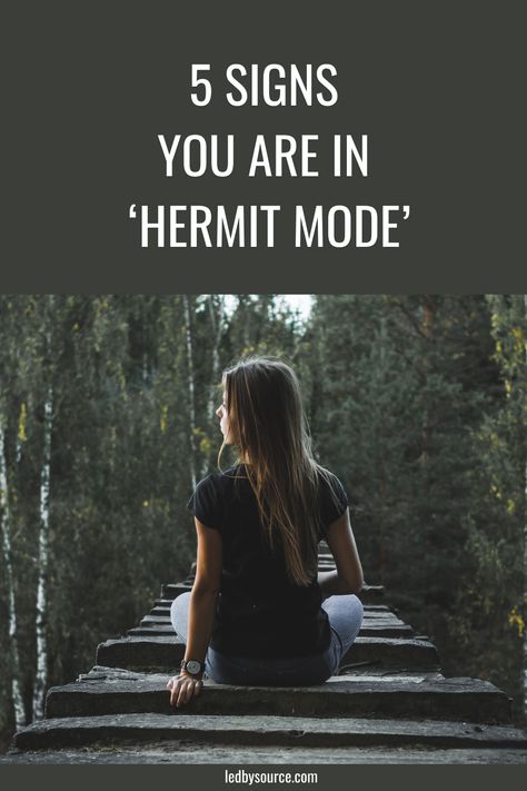 Hermit Phase Of Spiritual Awakening, Hermit Mode Quotes, The Shift, Hermit Mode, The Hermit, Hermit Quotes, Spiritual Awakening Stages, Spiritual Experience, Character Sketches