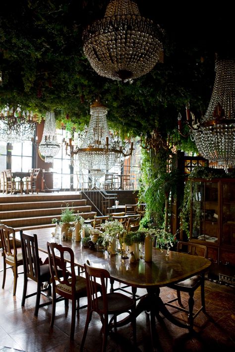 windows, upper seating area Forest Cafe, Old Chandelier, Deco Champetre, Design Café, Plans Architecture, The Dining Room, Garden Care, Cafe Restaurant, Bar Design