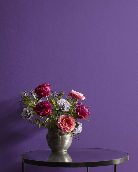 Benjamin Moore Purples, Benjamin Moore Lily Lavender, Lily Lavender Benjamin Moore, Benjamin Moore Lavender, Lavender Wall Paint, Benjamin Moore Shadow, Lilac Walls, Bathroom Moodboard, Paint Color Swatches