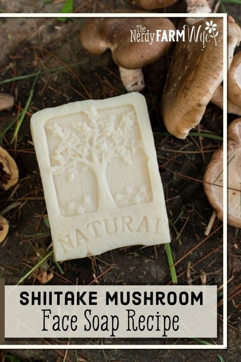 This cold process soap features fresh shiitake mushrooms infused into a creamy nourishing recipe that's suitable for your face or body. Cold Process Face Soap Recipe, Mushroom Soap Bar, Face Soap Recipe, Living Naturally, Natural Soaps Recipes, Cold Process Soap Recipes, Mushroom Tea, Organic Lotion, Soap Colorants