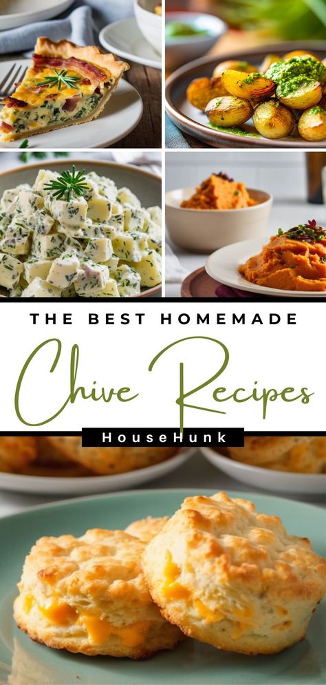 Explore the world of chives with our collection of 29 mouthwatering recipes. From spiced tofu stir-fry to chive and parsley pesto, each dish showcases the versatility and flavor of this humble herb. Whether you're a seasoned chef or a home cook, these recipes will inspire you to make chives a star ingredient in your kitchen. Grow your own and get ready to create delicious, vibrant meals! Cheveche Recipe, What To Do With Fresh Chives, What To Do With Chives, Recipes Using Fresh Chives, Chive Recipes Simple, Recipes Using Chives, Cooking With Herbs Recipes, Garlic Chives Recipes, Recipes With Chives