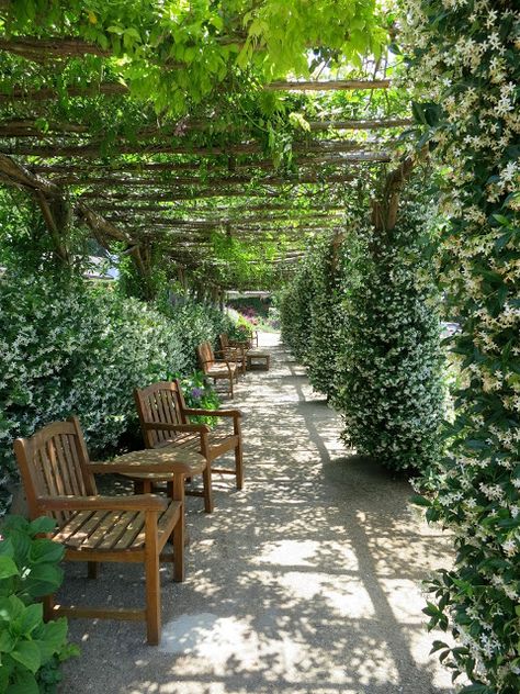 San Ysidro Ranch, Pergola Swing, San Ysidro, Garden Vines, Garden Wallpaper, Garden Indoor, Garden Area, Backyard Pergola, Unique Gardens