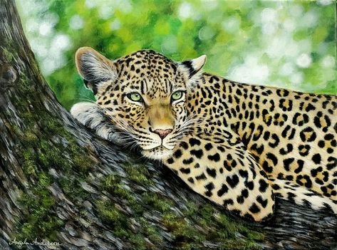 Leopard Painting Acrylic, Jaguar Drawing, Teacher Painting, Russellville Arkansas, Drawing Colored Pencil, Animal Canvas Paintings, Leopard Painting, Painting Gifts, Pencil Techniques