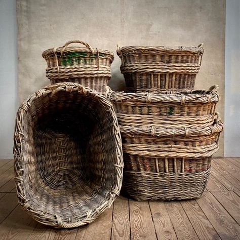 CHAMPAGNE GRAPE HARVEST BASKETS - Decoration - Collection - Eric Bienaime Champagne Grapes, Harvest Basket, Grape Harvesting, Basket Decoration, Champagne, Grapes