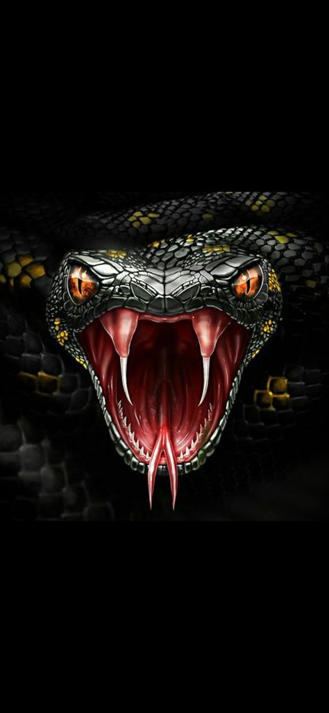 Snake Bite Piercing Tongue, Angry Snake, Snakes Pet, Snake Anime, Aesthetic Snake, Snake Aesthetic, Snake Enclosure, Snake Tattoos, Dragon Tattoo Art