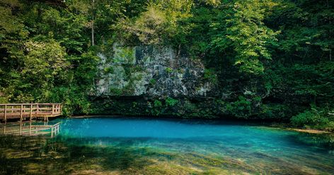 Travel Missouri, Missouri Hiking, Blue Springs Missouri, Go Usa, Fishing Photography, Blue Hole, Hiking Dogs, Deep Royal Blue, Blue Spring