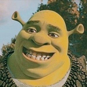 Bald Characters, Shrek Aesthetic, Aesthetic Smile, Bald Cap, Going Bald, Funny Costumes, Web Icons, Shrek, Movie Characters