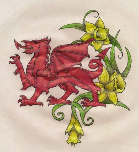 Welsh dragon and daffodills Welsh Dragon Tattoo Women, Welsh Dragon Art, Wales Tattoo, Tattoo Daffodil, Welsh Dragon Tattoo, Welsh Tattoo, Mandala Compass Tattoo, Welsh Heritage, Welsh History