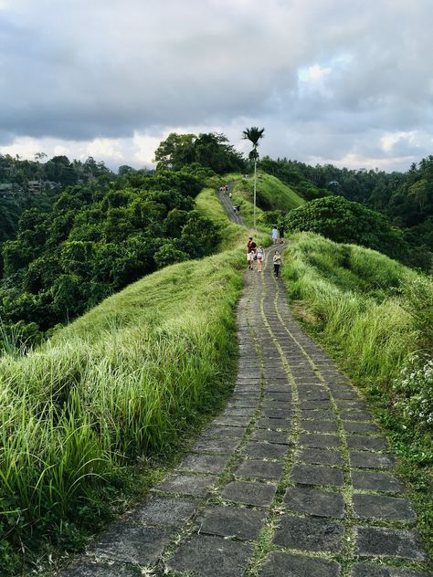 The Campuhan Ridge Walk in Ubud is a relatively short walk that is not very difficult to undertake. Campuhan Ridge Walk Bali, Campuhan Ridge Walk, Bali Photos, Ubud Resort, Market Art, Monkey Forest, The Royal Palace, The Longest Journey, Welcome Drink