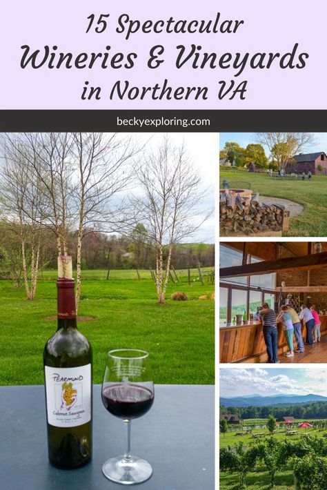 Virginia Road Trip, Weekend Trip Ideas, Venues For Weddings, Virginia Wine Country, Virginia Wineries, Dry Wine, Spring Break Trips, Virginia Travel, Wine Trail