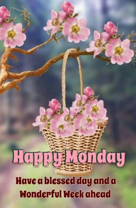 Monday Outfits, Happy Monday Pictures, Monday Morning Blessing, Happy Monday Images, Happy Monday Morning, Monday Images, Good Morning Wednesday, Good Morning Happy Monday, Good Evening Greetings