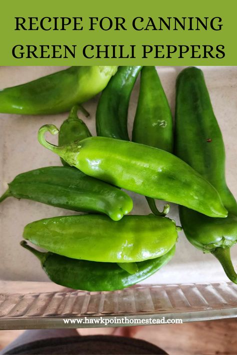 This recipe for how to can green chili peppers is a great way to preserve any kind of pepper that you have in the garden. It is an easy recipe and a great way to have your own canned peppers ready to use from the shelf any time! I love green chilis in a lot of recipes and so glad to be able to can my Anaheim peppers and make my own! What To Make With Green Chili Peppers, Canning Green Chilies, Canned Chili Peppers, Ways To Preserve Jalapeno Peppers, Canned Anaheim Peppers, Canning Diced Green Chilis, Canned Green Chili Recipes, Preserving Anaheim Peppers, Canning Green Chili Peppers