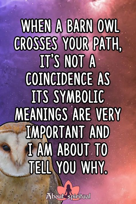 What does it mean when a barn owl crosses your path Owl Meaning, Type Of Animals, Better Eyesight, Owl Symbolism, Animal Spirit Guides, Animal Symbolism, Dream Meanings, Symbols And Meanings, Animal Magic