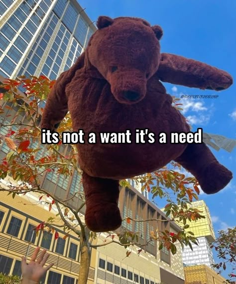 #djungelskog Love Bear, Cute Stuffed Animals, Mood Pics, Hen, Really Funny, Funny Pictures, Give It To Me, Cute Animals, Teddy Bear