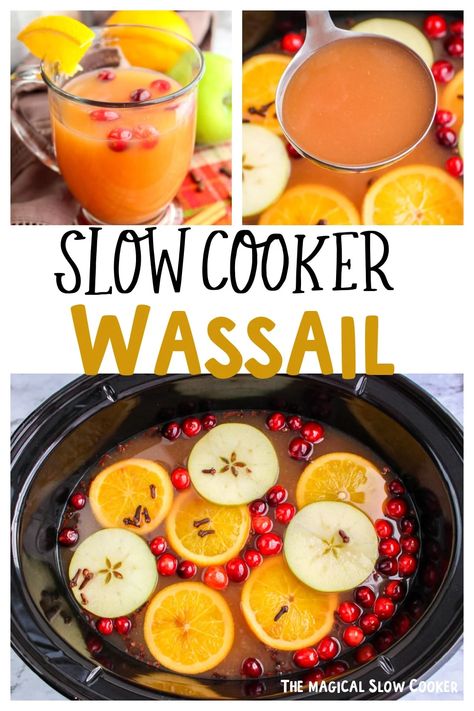 Make a giant batch of wassail in your crockpot for your guests. This flavorful drink has three kinds of juice and plenty of holiday spice, perfect for any get-together. - The Magical Slow Cooker Wassail Recipe Crockpot, Slow Cooker Drinks, Wassail Recipe, Magical Slow Cooker, Cranberry Cinnamon, The Magical Slow Cooker, Roasted Apples, Holiday Drinks, Christmas Drinks