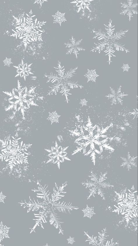 Winter Theme Wallpaper Aesthetic, Winter Wallpaper Snowflakes, Winter Wonderland Aesthetic Wallpaper, Snowflake Phone Wallpaper, Blue And White Christmas Aesthetic, Christmas Asthetics Wallpaper Iphone, Snowflake Aesthetic Wallpaper, Winter Homescreen Wallpaper, White Christmas Phone Wallpaper