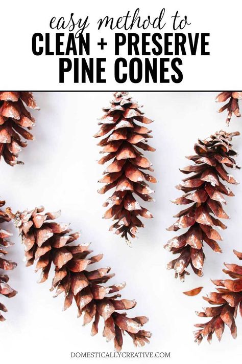 How To Preserve Pinecones, Preserving Pinecones, Cleaning Pinecones, Rustic Tree Topper Ideas, Christmas Tree Pinecones Ornaments, Christmas Crafts With Pinecones, Preserve Pinecones, How To Clean Pinecones For Crafts, How To Make Pine Cones Open Up