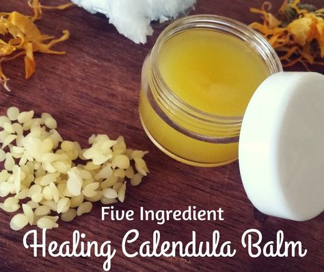 Calendula Face Cream Diy, Calendula Cream Recipe, Calendula Face Cream, Calendula Balm, Face Cream Diy, Salve Recipes, Healing Balm, Household Goods, Lifestyle Ideas