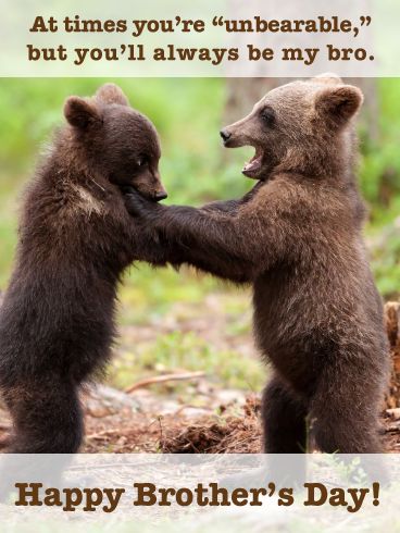 This funny card will have your brother roaring on National Brother's Day! Featuring two cubs play fighting, it's a hysterical way to remind him that while at times he can be “unbearable,” he'll always be your bro. With plenty of humor, and some definite sentimentality, this greeting is a great way to help him celebrate this day, while also letting him know that despite it all, you'll always be close not only as family, but as friends. National Brothers Day, Brothers Day, Happy Brothers Day, Baby Bear Cub, Kodiak Bear, Brown Bears, Qi Gong, Love Bear, Bear Cubs