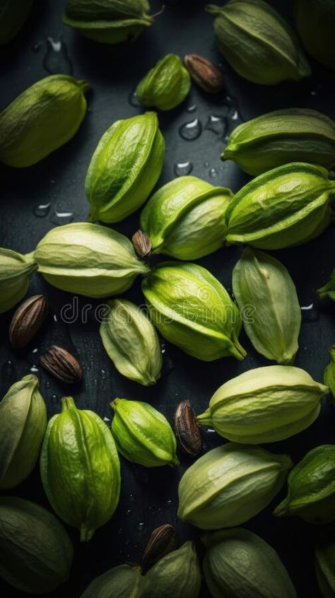 Aromatic Cardamom Spice Vertical Background. stock photography Cardamom Photography, Cardamom Spice, Healthy Vegetarian Diet, Spices Photography, Vertical Background, Green Cardamom, Food Colouring, Food Style, Vegetarian Diet