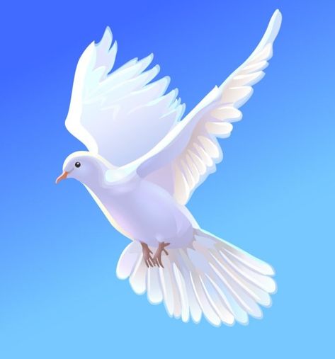 Holy Spirit Art, Dove Painting, Dove Flying, Dove Images, Dove Pictures, Red Background Images, Blurred Background Photography, Polygon Art, Photo Background Images Hd