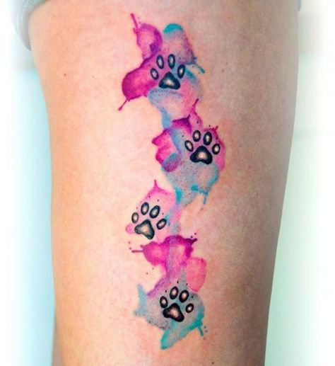 A nice colorful watercolor cat paw prints tattoo suitable for women. Style: Watercolor. Color: Colorful. Tags: Nice Paw Print Tattoos, Cat Paw Print Tattoo, Tiny Paw Print, Dogs Tattoo, Dogs Paw, Pawprint Tattoo, Dog Paw Tattoo, Paw Tattoo, Watercolor Tattoos