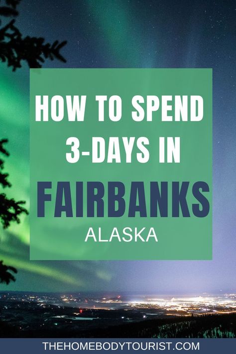 Fairbanks Alaska Winter, Alaska Itinerary, 50 States Travel, Alaska Cruise Tips, Alaska Northern Lights, Alaska Winter, Vacation Wishes, Alaska Adventures, Visit Alaska