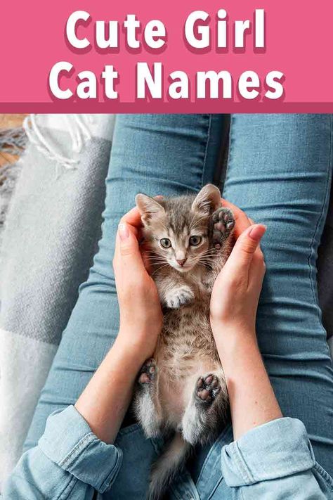 Female Kitten Names Unique, Names For Girl Cats, Cats Names Ideas, Female Cat Names Unique, Girl Pet Names, Kitten Names Unique, Kitten Names Girl, Cat Name Ideas, Calico Cat Names