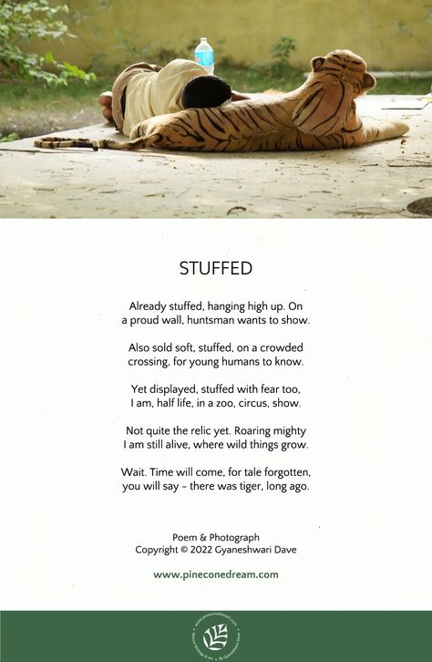 tiger poem | tiger conservation poem| wildlife poem| poem about tigers Tiger Poem, World Tiger Day, Nature Poems, Stuffed Tiger, Tiger Day, Tiger Conservation, Nature Poem, Global Awareness, Wild Tiger