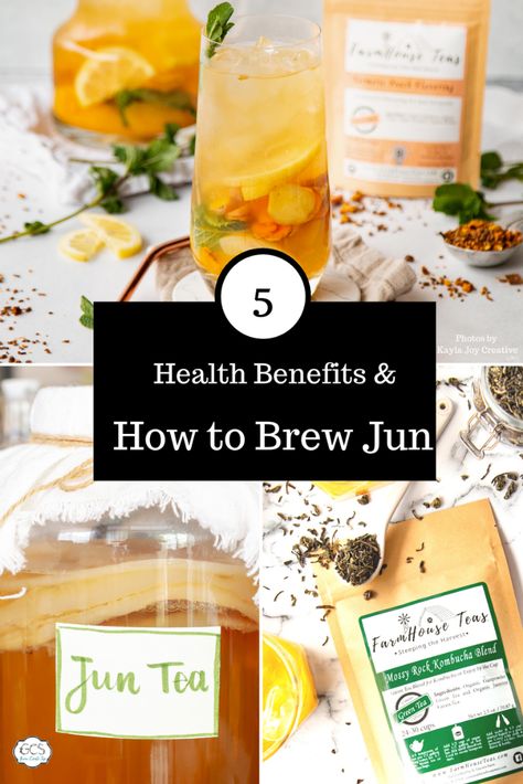 Jun Tea, Jun Kombucha, Diy Kombucha, Kombucha Flavors, Kombucha Scoby, How To Brew Kombucha, Green Tea And Honey, Natural Probiotics, Fermented Vegetables