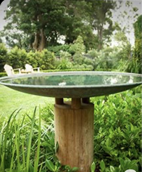 Birdbath Ideas Landscaping, Cotswold Furniture, Spartan Juniper, Coastal Rosemary, Sydney Landscape, Indian Hawthorn, Bird Bath Ideas, Copper Bird Bath, Box Hedge