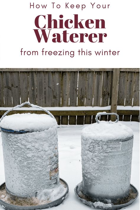 How To Keep Chickens Water From Freezing, How To Keep Chicken Water From Freezing, Chicken Water From Freezing, Chicken Watering System, Chicken Waterer Diy, Chicken Water Feeder, Water Pail, Chickens In The Winter, Homestead Blog