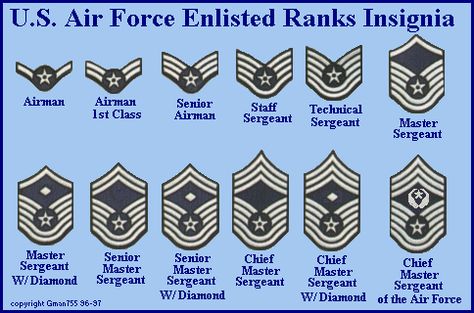 Air Force: Enlisted Airmen Air Force, Air Force Crafts, Us Air Force Aesthetic, Us Air Force Women, Air Force Tattoo, Air Force Graduation, Air Force Basic Training, Air Force Uniforms, Air Force Women