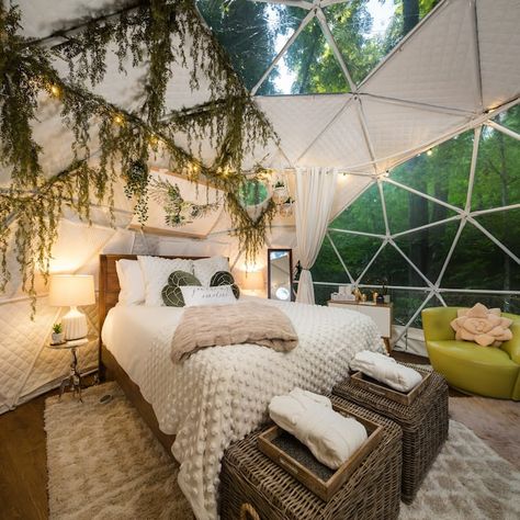 Geodesic Dome Interior, Dome Tent Interior, Dome Home Interior, Dome Cabins, Dome Airbnb, Geo Dome, Dome Room, Dome Houses, Green Room Decor